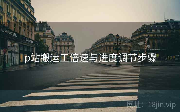 p站搬运工倍速与进度调节步骤