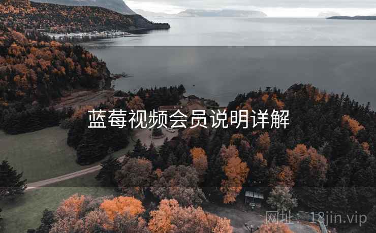 蓝莓视频会员说明详解