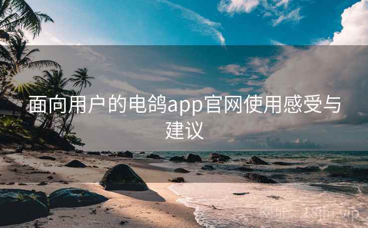 面向用户的电鸽app官网使用感受与建议 面向用户的电鸽app官网使用感受与建议
